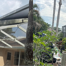 Clean-Pool-Enclosure-and-Revitalized-Driveway-Walkway-in-Trinity-FL 2
